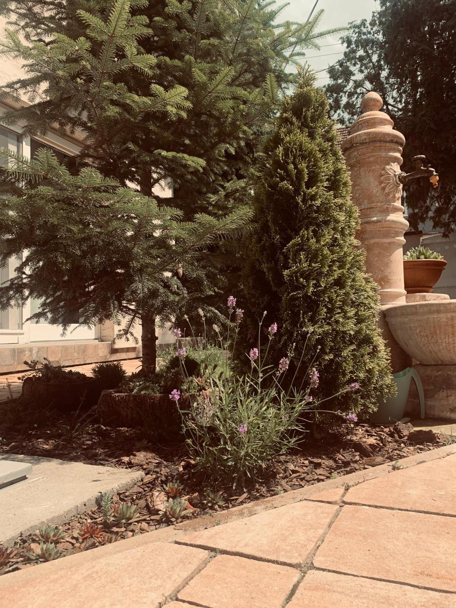 La Casa Tamaris Lägenhet Senta Exteriör bild
